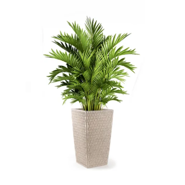Flower Pot-Image