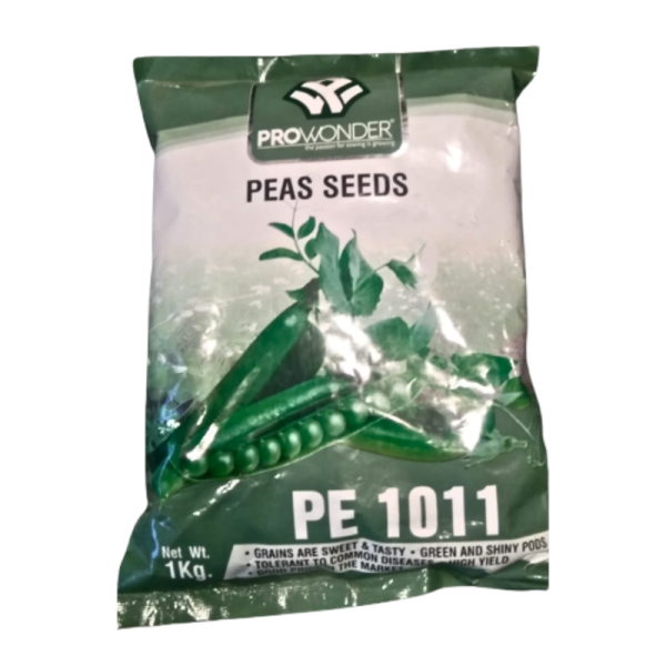 Peas seeds-Image