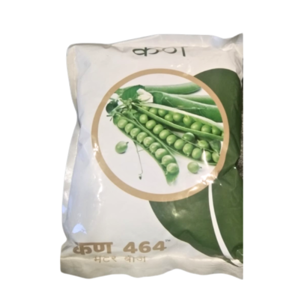 Peas seeds-Image