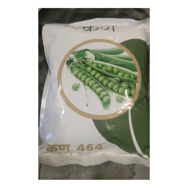 Peas seeds image 2