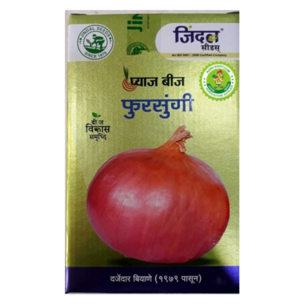 Onion Seed - Jindal Seeds