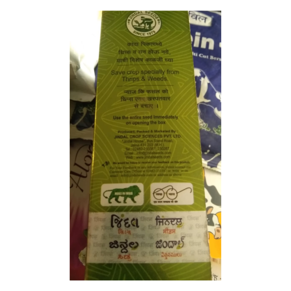 Onion Seed - Jindal Seeds