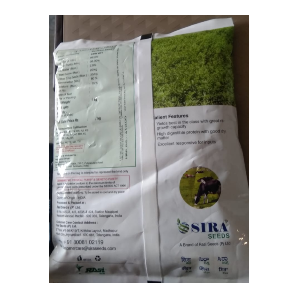 Berseem Seed image 3
