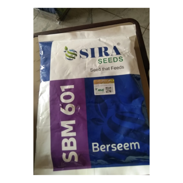 Berseem Seed image 2