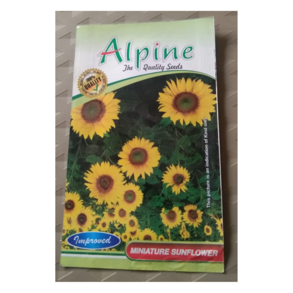 Miniature Sunflower Seeds image 2
