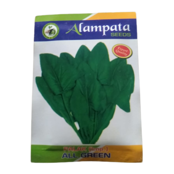 Palak (imp.) All Green Seeds Image