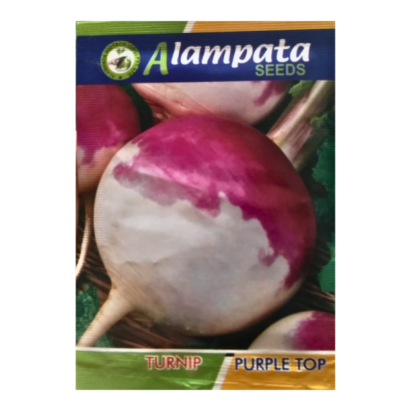 Turnip Purple Top Seeds Image