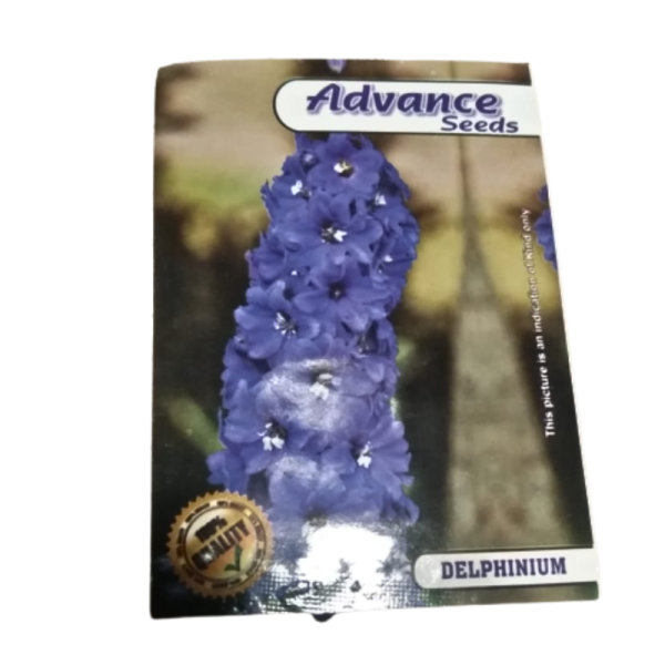 Delphinium Seeds Image