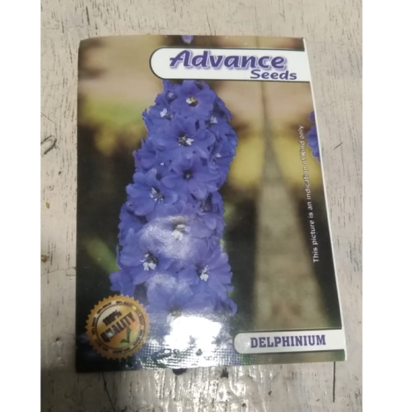 Delphinium Seeds image 2