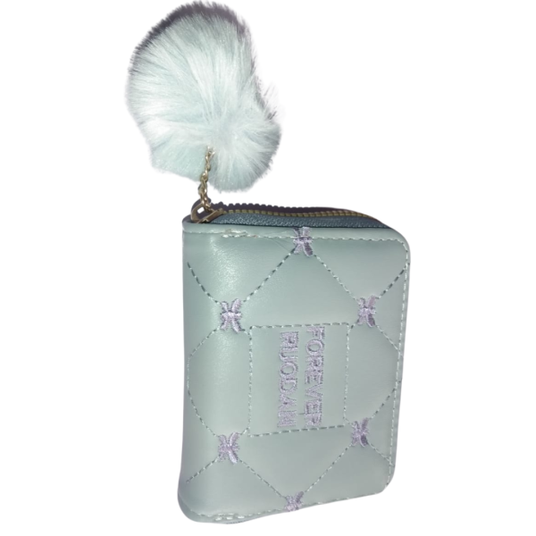 Women Handbag-Image