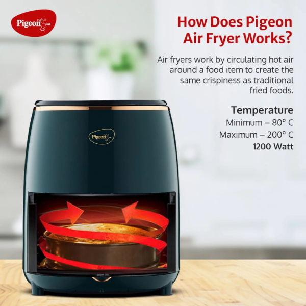 Air Fryer - PIGEON