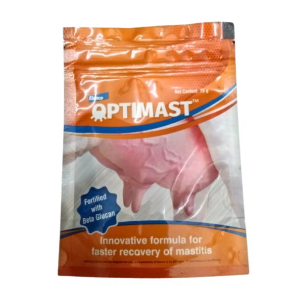 Optimast-Image