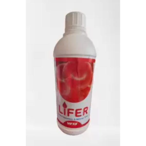 Lifer-Image