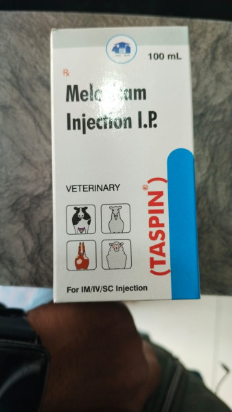 Taspin Meloxicam Injection - Karnataka Antibiotics & Pharmaceuticals Limited