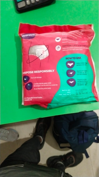 Disposable Period Panties - Evereve