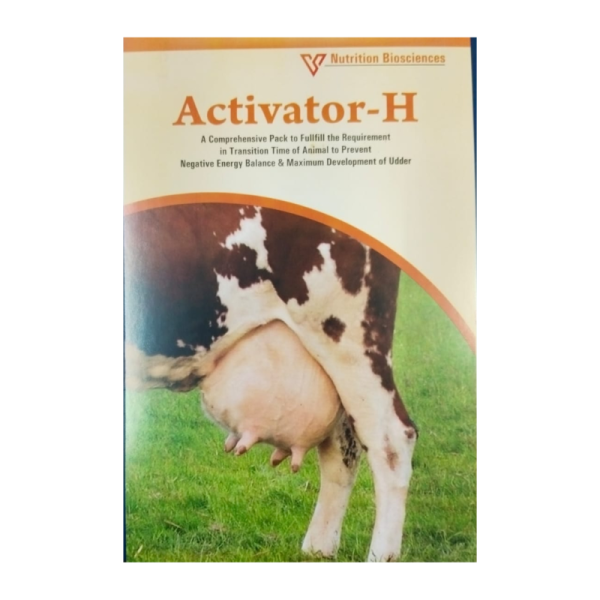 Activator- H-Image