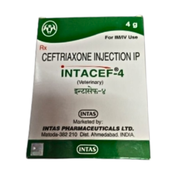 Intacef-4-Image