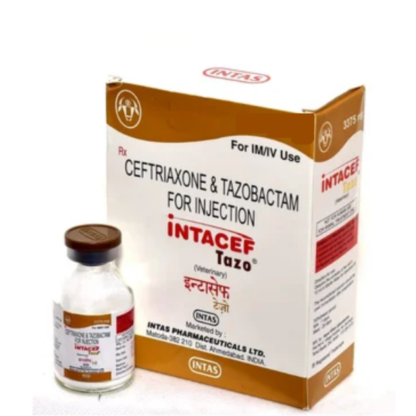 Intacef Tazo-Image