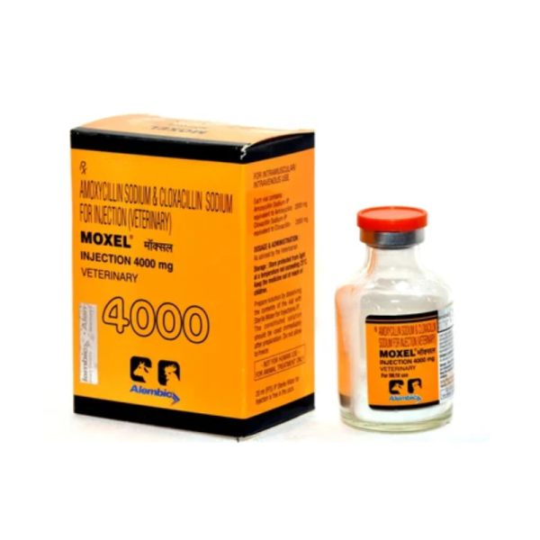 Moxel 4000 Injection-Image