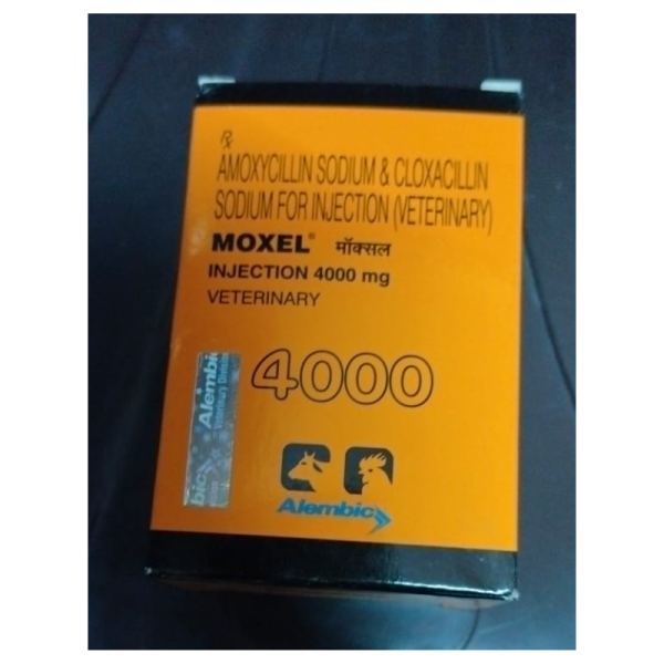Moxel 4000 Injection - Alembic