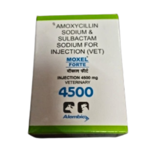 Moxel Forte Injection-Image