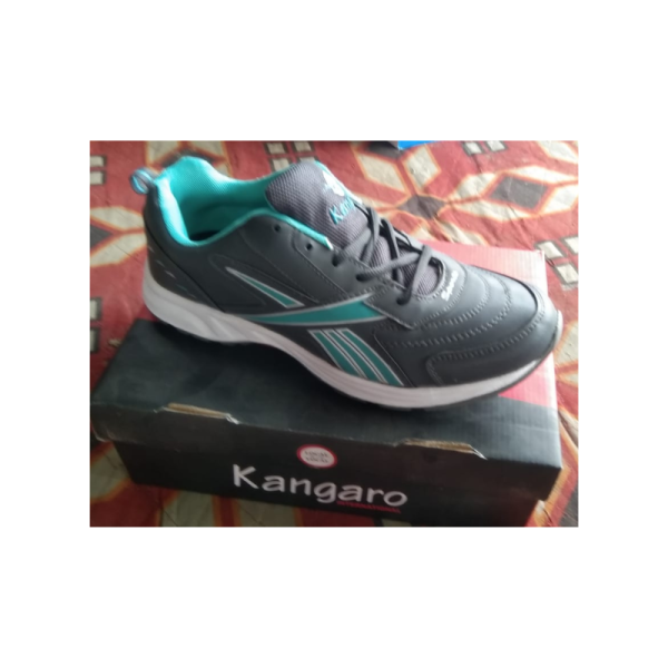 Sports Shoes - Kangaro