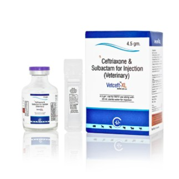 Vetceft – Xl - Carus Laboratories Pvt. Ltd
