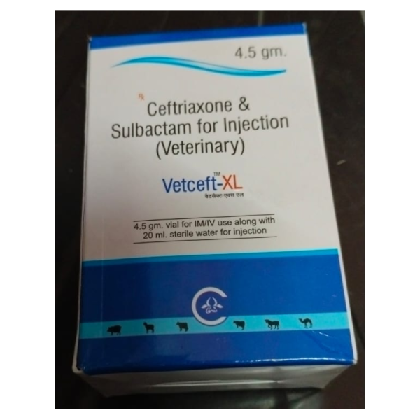 Vetceft – Xl - Carus Laboratories Pvt. Ltd