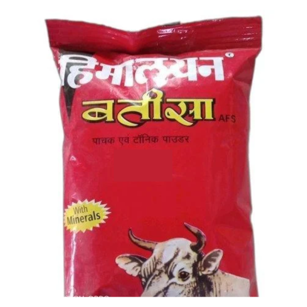 Himalayan Batisa-Image