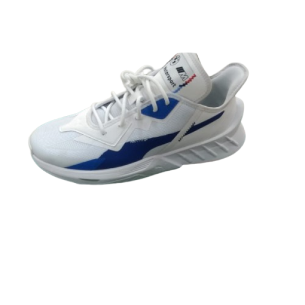 Sports Shoes-Image