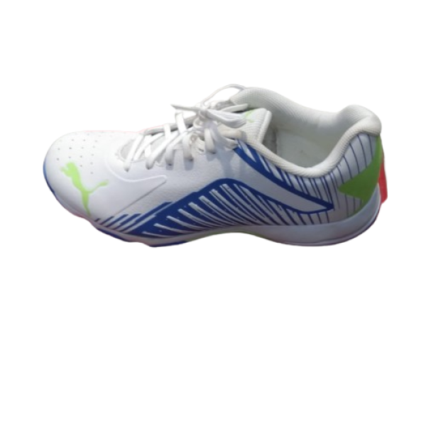 Sports Shoes-Image