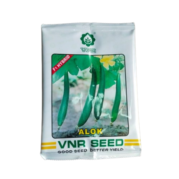 Hybrid Sponge Gourd Seeds-Image