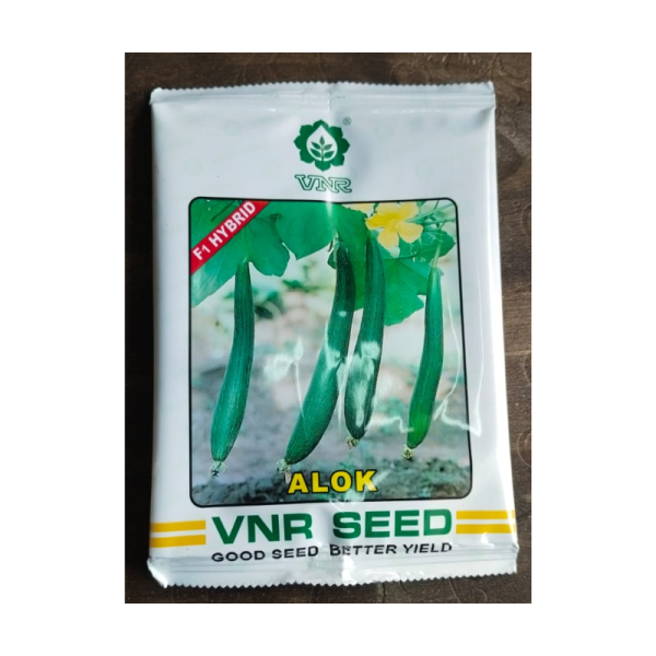 Hybrid Sponge Gourd Seeds - VNR Seed