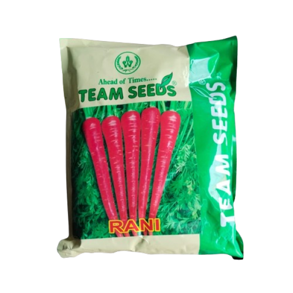 Carrot Seed-Image
