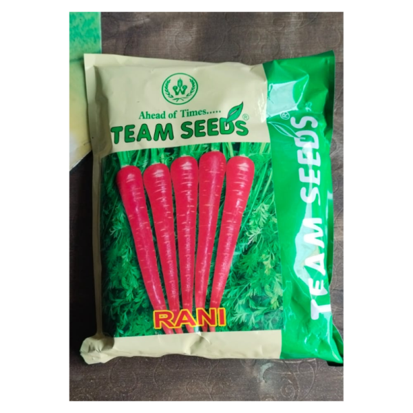 Carrot Seed - Team Seeds