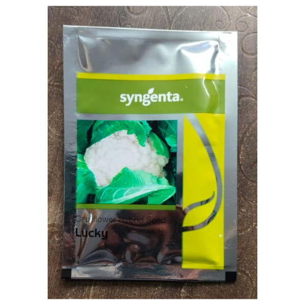 Hybrid Cauliflower Seeds - Syngenta
