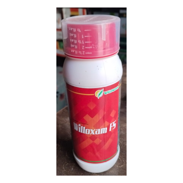 Willoxam Fs - Willowood
