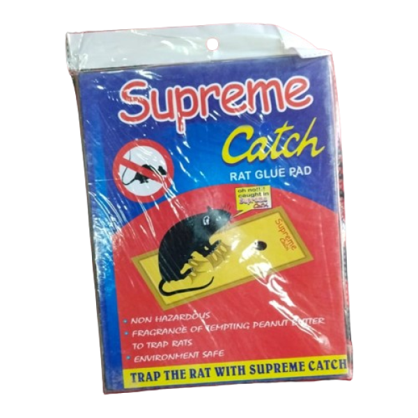 Rat Glue Pad-Image