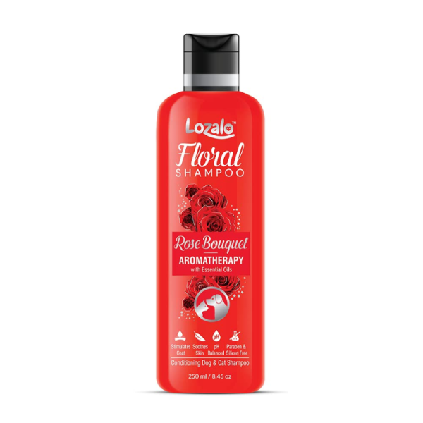 Pet Shampoo Image