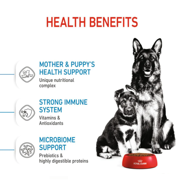 Dog Food - Royal Canin
