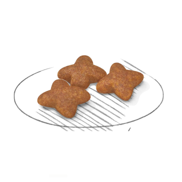 Dog Food - Royal Canin