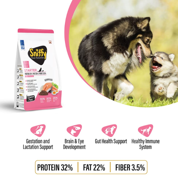 Dog Food - Sniffy