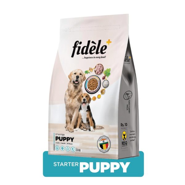 Dog Food-Image