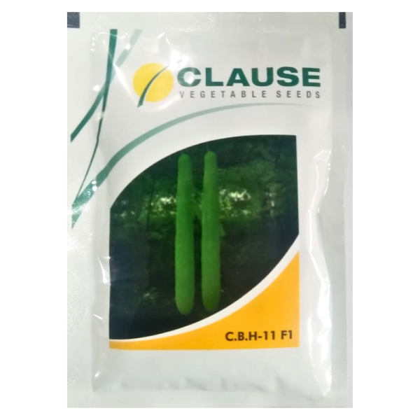 Hybrid Bottle Gourd Seeds - C.B.H-11 F1 | ByeByeMRP