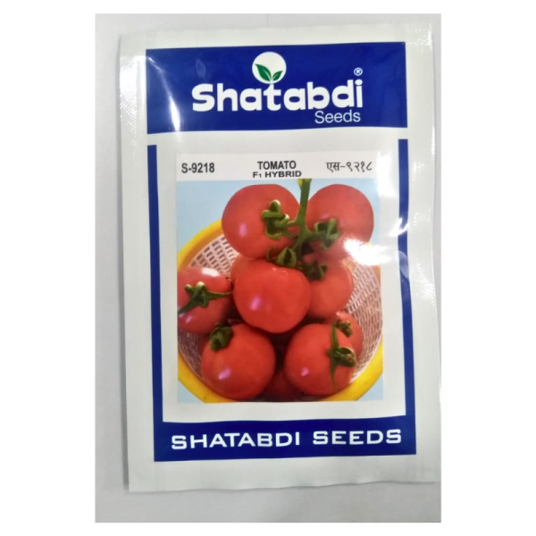 Tomato F1 Hybrid-Image
