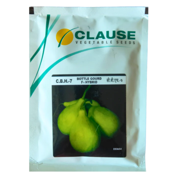 Bottle Gourd F1 Hybrid-Image