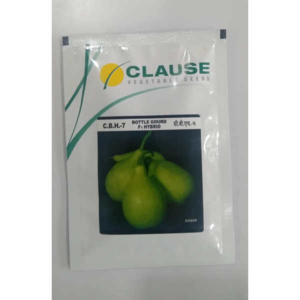 Bottle Gourd F1 Hybrid - Clause