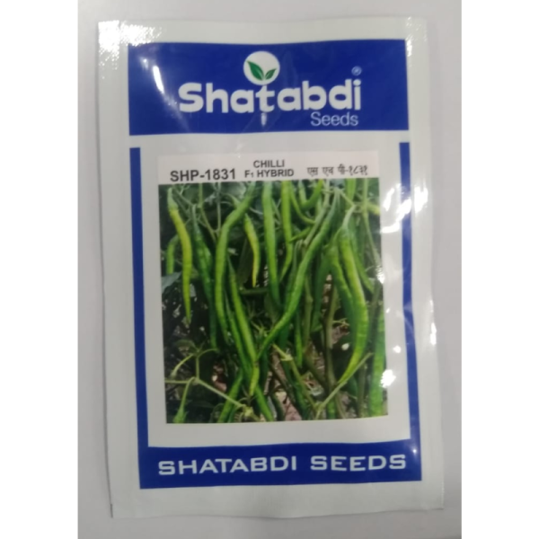 F1 Hybrid Chilli Seeds image 2