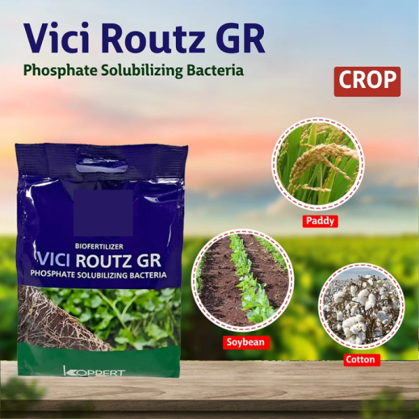 Vici Routz GR PSB Biofertilizer - Koppert