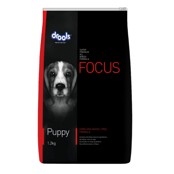 Dry Dog Food-Image